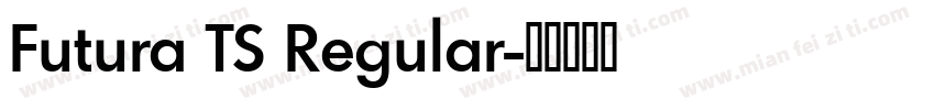 Futura TS Regular字体转换